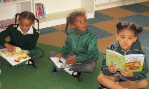 Bokmakierie Pr. Library (4)