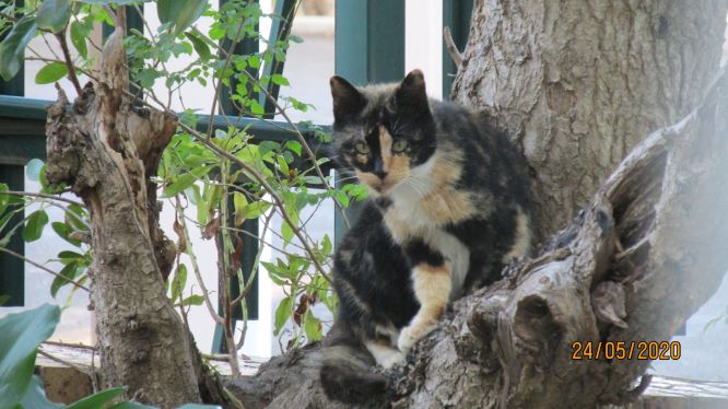 f187bbae-1c1a-b09f-0000-017797f49100